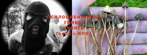 jwh Пересвет