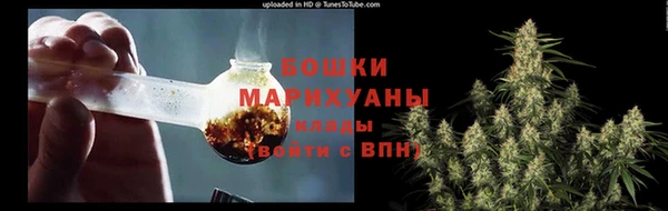 jwh Пересвет