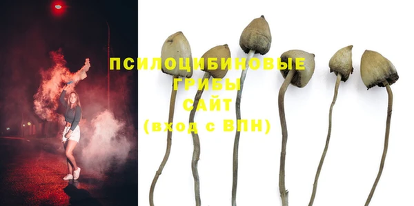 ГАЛЛЮЦИНОГЕННЫЕ ГРИБЫ Переславль-Залесский