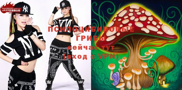 jwh Пересвет