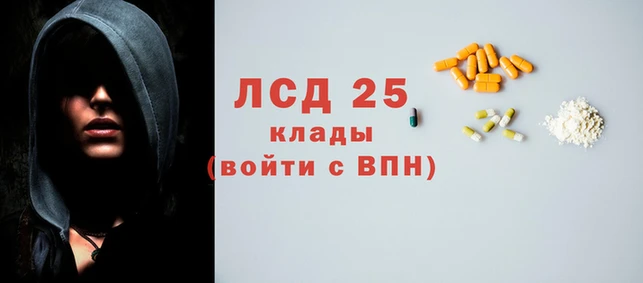 ГАЛЛЮЦИНОГЕННЫЕ ГРИБЫ Переславль-Залесский