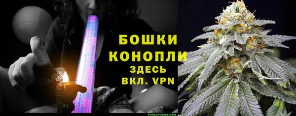 ГАЛЛЮЦИНОГЕННЫЕ ГРИБЫ Переславль-Залесский