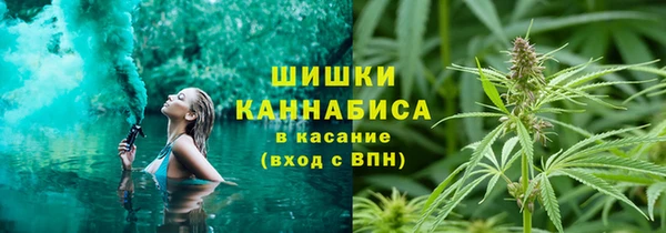 ГАЛЛЮЦИНОГЕННЫЕ ГРИБЫ Переславль-Залесский
