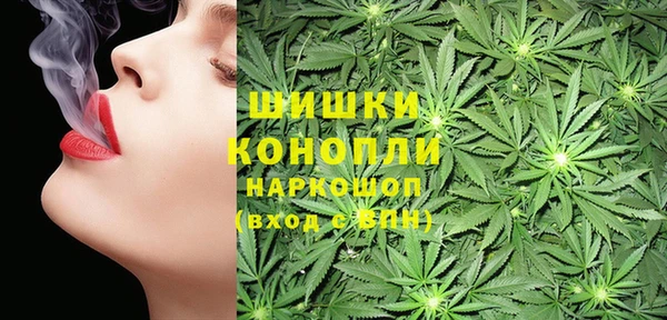 jwh Пересвет
