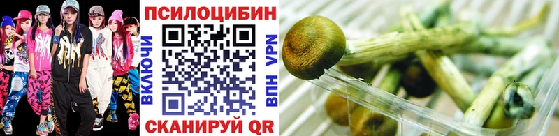 Псилоцибиновые грибы Psilocybine cubensis  Купить где  Фатеж 